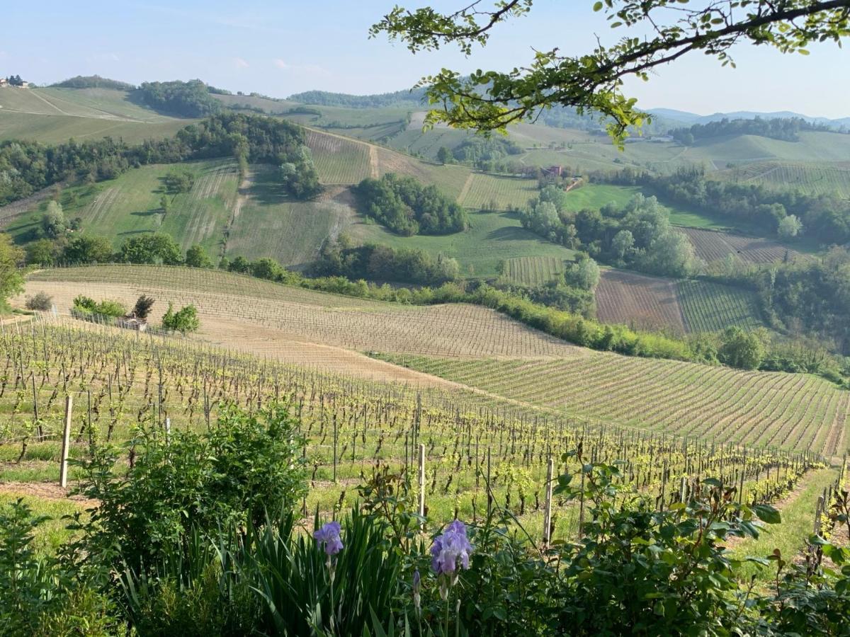 Agriturismo I Gessi Calvignano Bagian luar foto